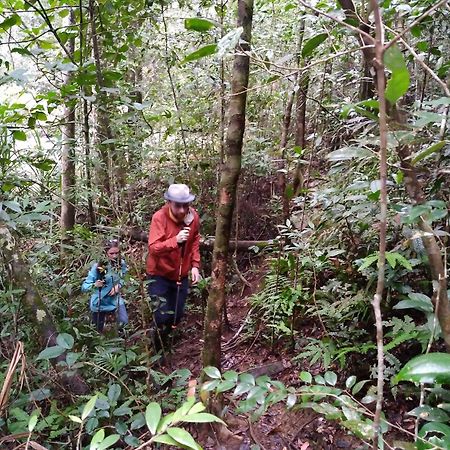 Sinharaja Kurulu Ella Eco Resort Deniyaya Luaran gambar