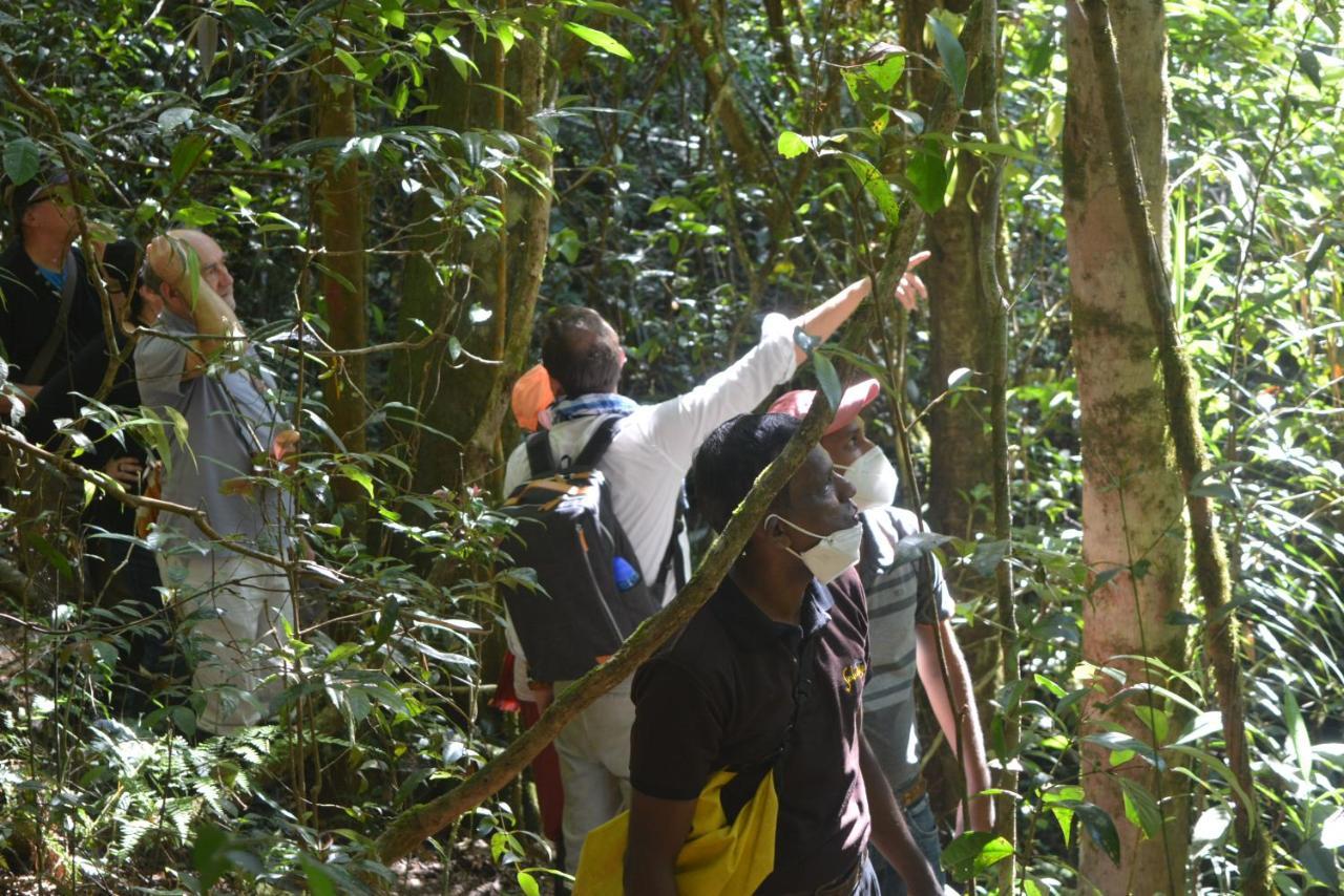 Sinharaja Kurulu Ella Eco Resort Deniyaya Luaran gambar
