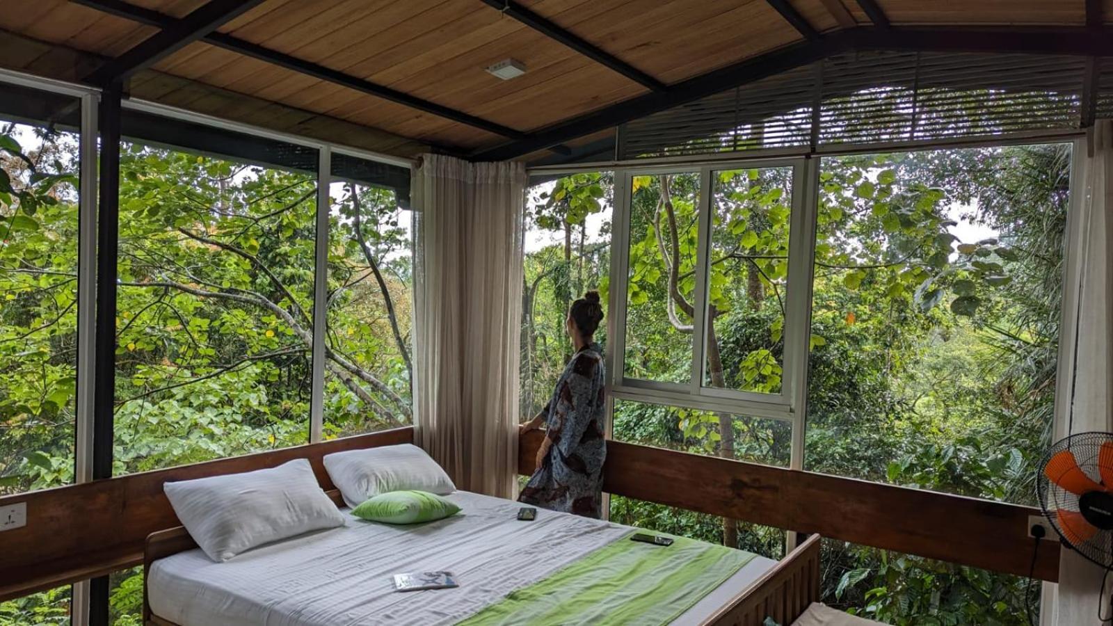 Sinharaja Kurulu Ella Eco Resort Deniyaya Luaran gambar