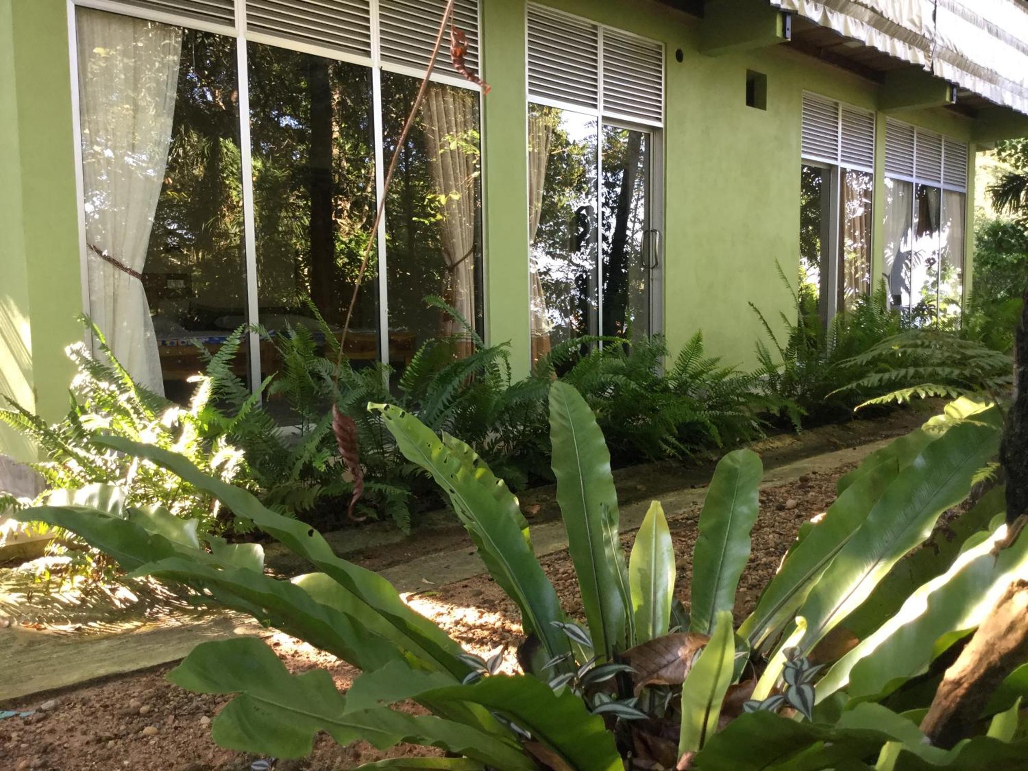 Sinharaja Kurulu Ella Eco Resort Deniyaya Luaran gambar
