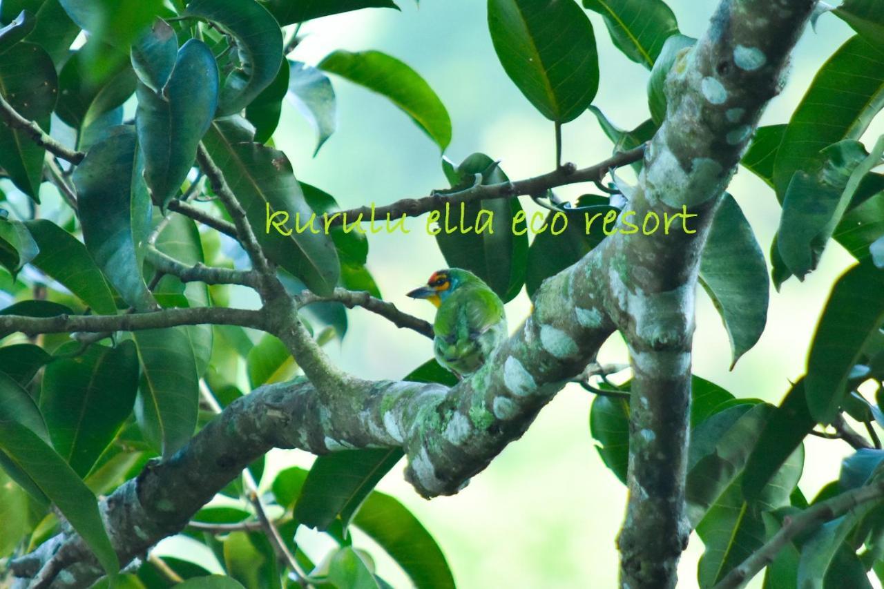 Sinharaja Kurulu Ella Eco Resort Deniyaya Luaran gambar